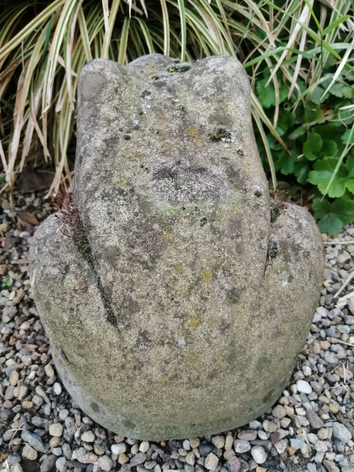 Artikelbild 5 des Artikels “Frosch, ca. 23cm. Steinguss “
